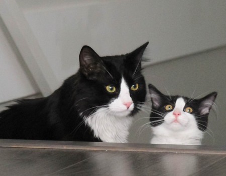 Entry image for Thomas & Emelia. Clicking this image will show a larger photo