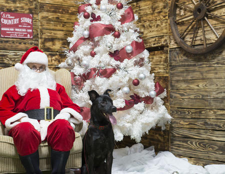 Entry image for Ace. Clicking this image will show a larger photo