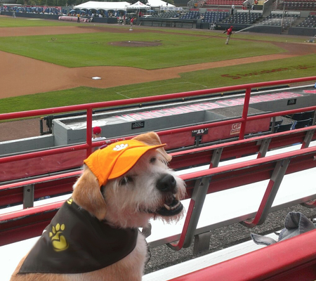 Entry image for Ami Rose. Clicking this image will show a larger photo