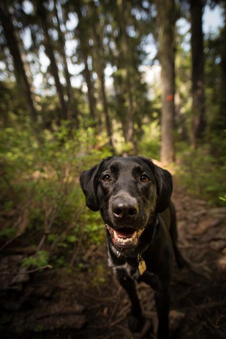 Entry image for Winter. Clicking this image will show a larger photo