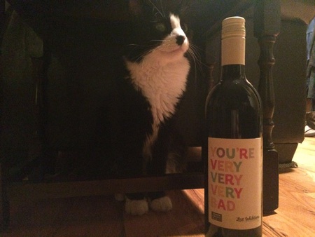 Entry image for Jack. Clicking this image will show a larger photo