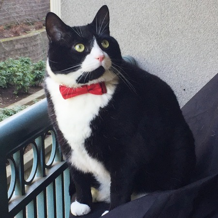 Entry image for Tucker. Clicking this image will show a larger photo