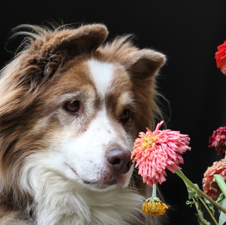 Entry image for Reina. Clicking this image will show a larger photo