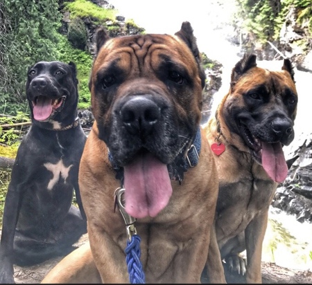 Entry image for Bruce, Betty, Sir Edward-Anne Wrinkleton . Clicking this image will show a larger photo