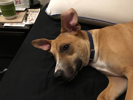 Entry image for Emilio. Clicking this image will show a larger photo