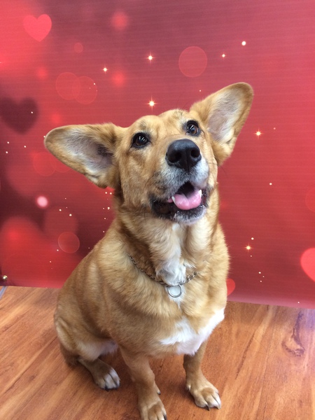 Entry image for Charm. Clicking this image will show a larger photo