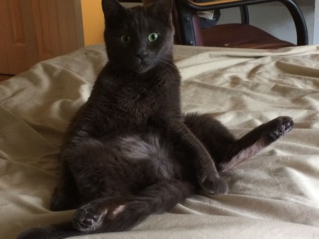 Entry image for Lou. Clicking this image will show a larger photo