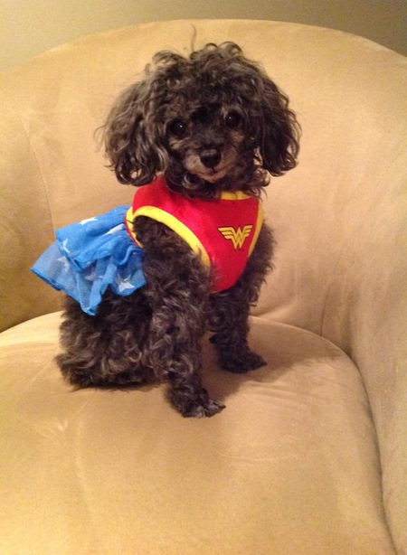 Entry image for Sophie. Clicking this image will show a larger photo