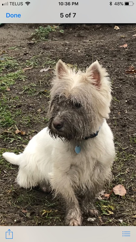 Entry image for Max. Clicking this image will show a larger photo