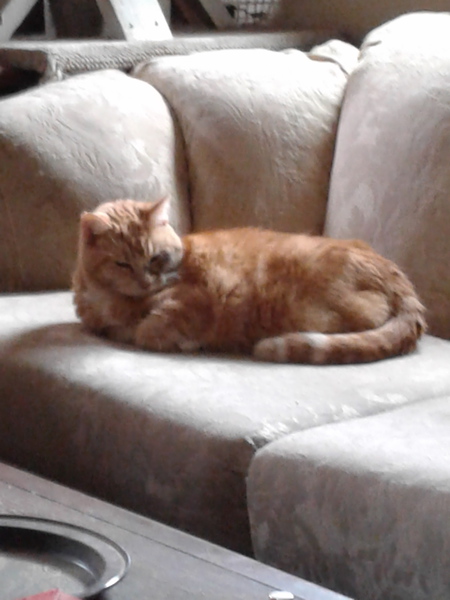 Entry image for Crush. Clicking this image will show a larger photo