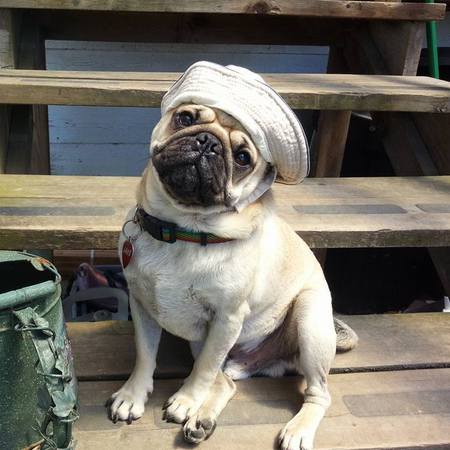 Entry image for Jake. Clicking this image will show a larger photo