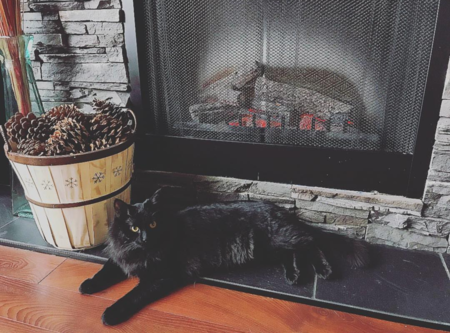 Entry image for Ink. Clicking this image will show a larger photo