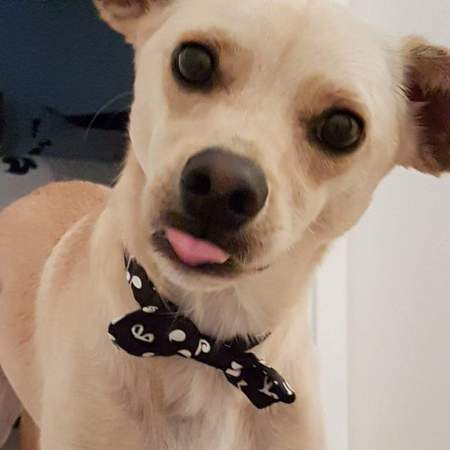 Entry image for Niko. Clicking this image will show a larger photo