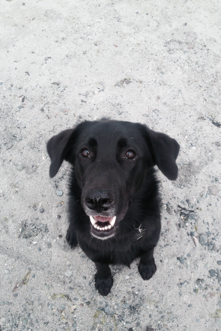 Entry image for Thomas. Clicking this image will show a larger photo