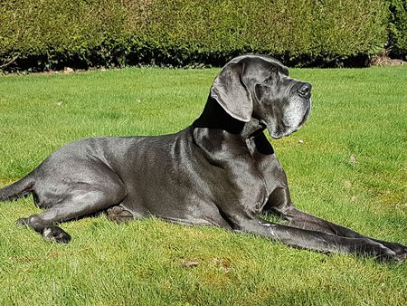 Entry image for Danny. Clicking this image will show a larger photo