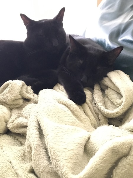 Entry image for Toes and Ebony. Clicking this image will show a larger photo