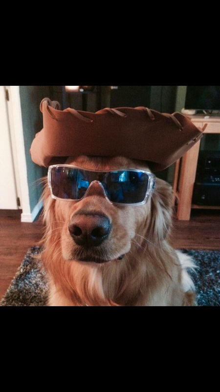 Entry image for Tucker. Clicking this image will show a larger photo