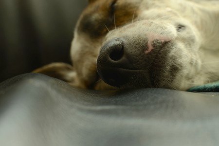 Entry image for Arlie. Clicking this image will show a larger photo