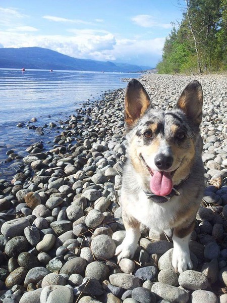 Entry image for Peeps. Clicking this image will show a larger photo