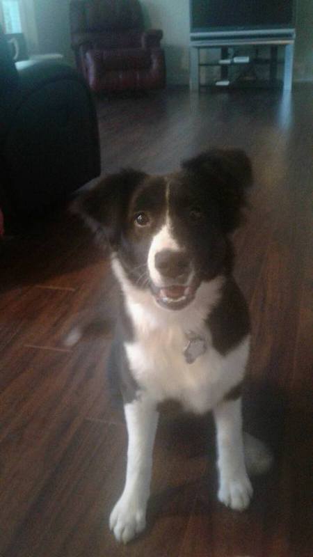 Entry image for Jewel. Clicking this image will show a larger photo