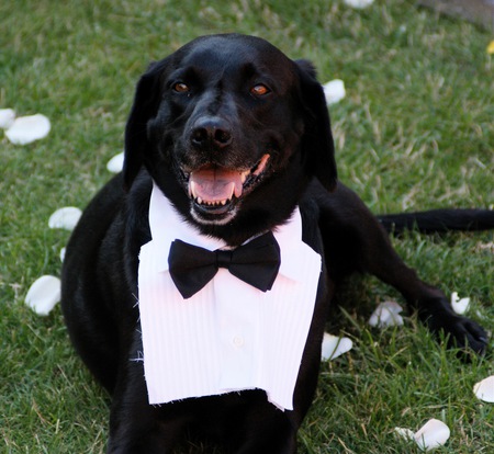 Entry image for Jack. Clicking this image will show a larger photo