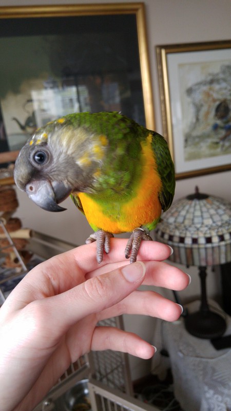 Entry image for Emma. Clicking this image will show a larger photo