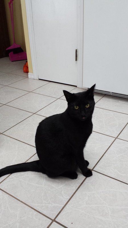 Entry image for Sprout . Clicking this image will show a larger photo