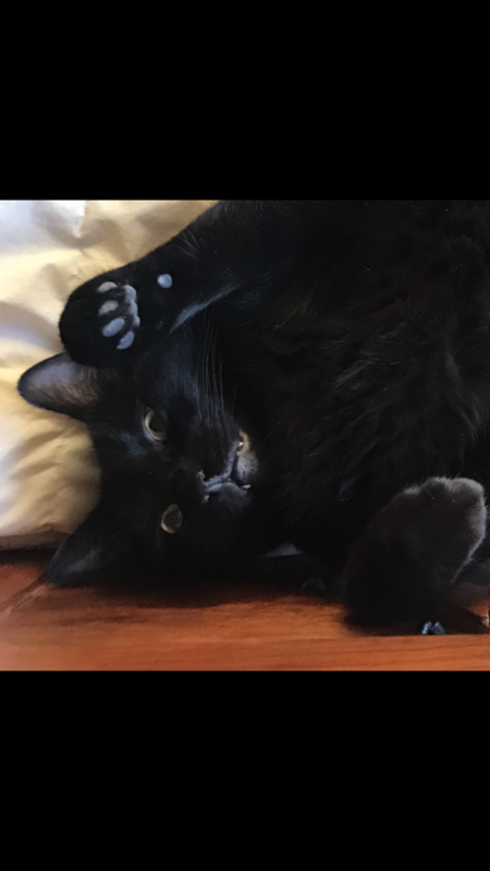 Entry image for aѕĸнιм. Clicking this image will show a larger photo