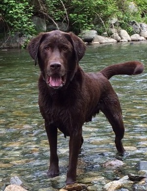 Entry image for Winchester. Clicking this image will show a larger photo