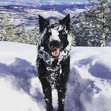 Entry image for Wendell. Clicking this image will show a larger photo