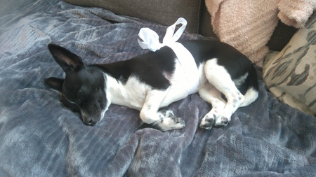 Entry image for Maybelline. Clicking this image will show a larger photo