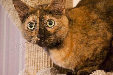 Entry image for Soshi. Clicking this image will show a larger photo