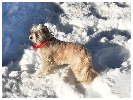 Entry image for Sushi . Clicking this image will show a larger photo