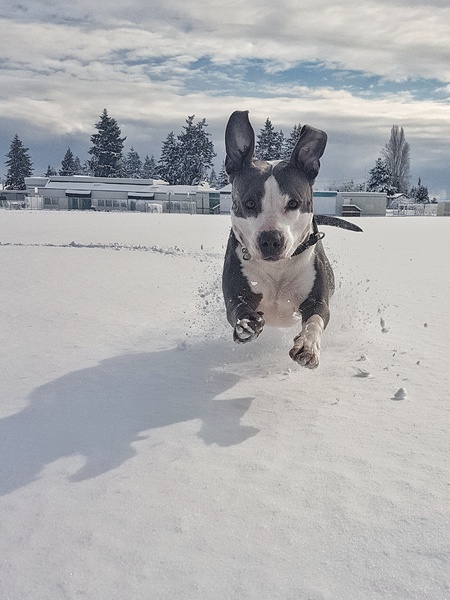 Entry image for Marcie. Clicking this image will show a larger photo