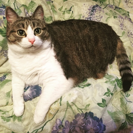 Entry image for Angel. Clicking this image will show a larger photo