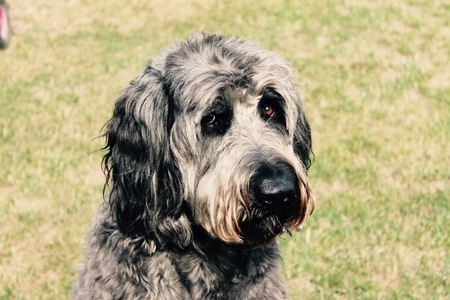 Entry image for Lukas. Clicking this image will show a larger photo