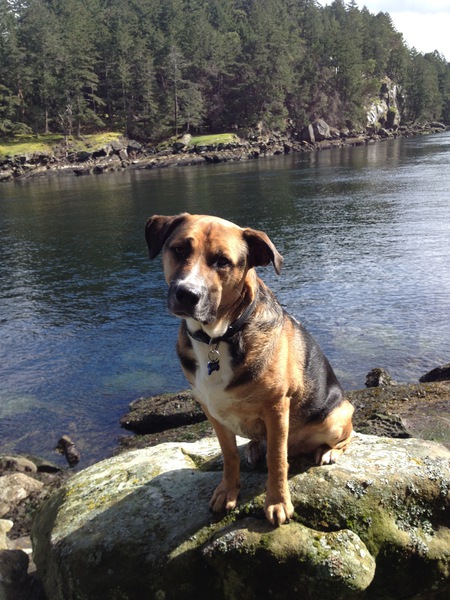 Entry image for Culligan . Clicking this image will show a larger photo