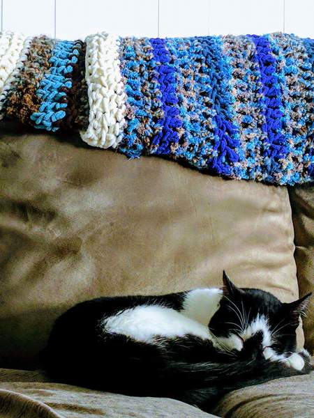 Entry image for Ace. Clicking this image will show a larger photo