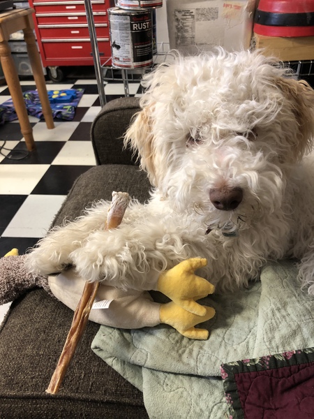 Entry image for Rebus. Clicking this image will show a larger photo