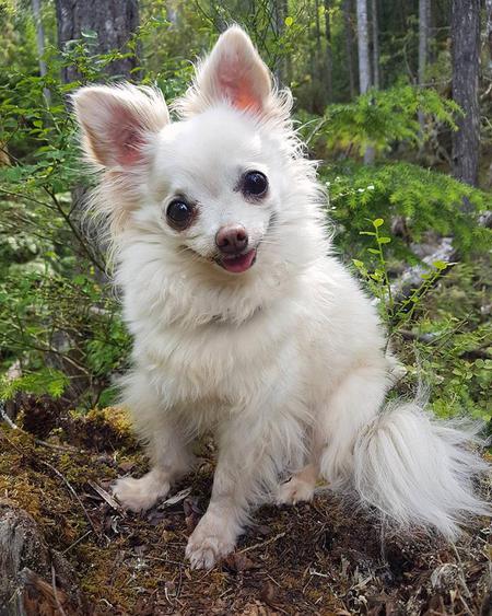 Entry image for Tiegan. Clicking this image will show a larger photo