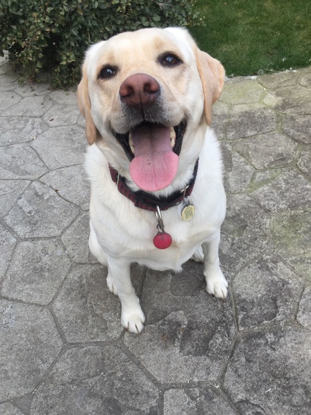 Entry image for Zoe. Clicking this image will show a larger photo