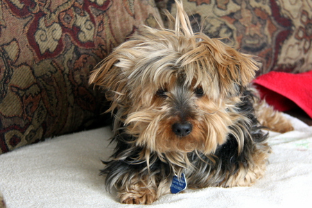 Entry image for Nikki. Clicking this image will show a larger photo