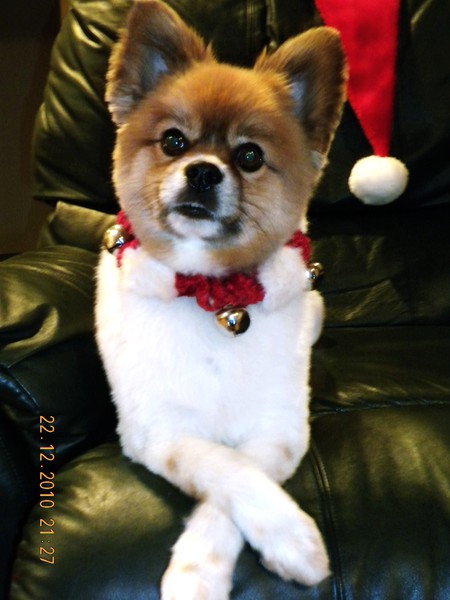 Entry image for Brew. Clicking this image will show a larger photo