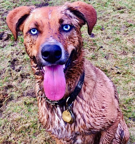 Entry image for Tux. Clicking this image will show a larger photo