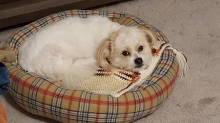 Entry image for Max. Clicking this image will show a larger photo