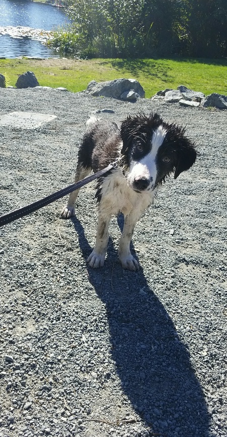 Entry image for Storm. Clicking this image will show a larger photo