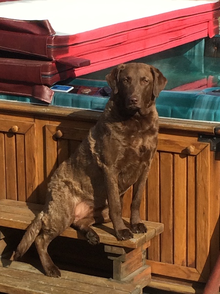 Entry image for GIA. Clicking this image will show a larger photo