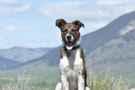 Entry image for Sprout. Clicking this image will show a larger photo