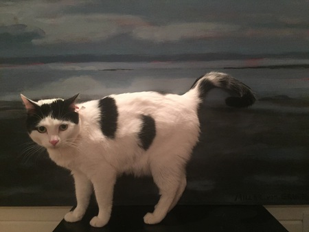 Entry image for Emmie . Clicking this image will show a larger photo