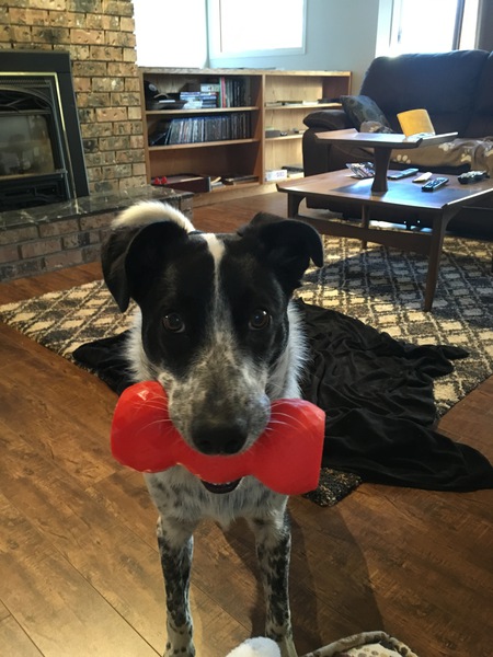 Entry image for Everest . Clicking this image will show a larger photo